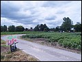 Ijzersmultocht 2014  (244).JPG