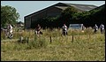 100_0151.JPG