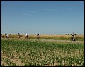 100_0234.JPG