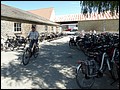 100_0354.JPG