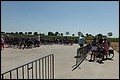100_0355.JPG