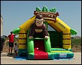 100_0357.JPG